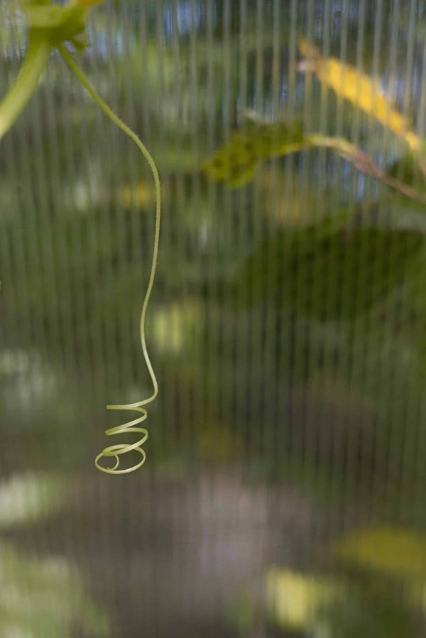 How Are Adaptive Learning Platforms Changing UK Professional Development?